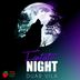 Cover art for "Duar Vila — Fantastic Night"