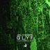 Cover art for Glyf