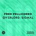 Cover art for "Fred Pellichero — Overlord (Extended Mix)"