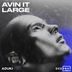 Cover art for "ADuki — Avin It Large (Dedicated To)"