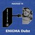 Cover art for "ENiGMA Dubz — Haters"