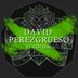 Cover art for "David Perezgrueso — El Colibri (Original Mix)"