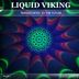 Cover art for "Liquid Viking — Transported to the Future (Original Mix)"