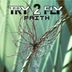 Cover art for "Try2fly — Dream Catcher (Intro) (Original Mix)"