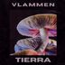 Cover art for "VLAMMEN — Tierra"