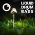 Cover art for Liquid Drum & Bass Sessions 2020 Vol 30