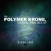 Cover art for "The Polymer Drone — Ballad Of The Broken Souls"