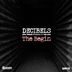 Cover art for "Decibels, Beatallfusion, Ramses — The Begin"