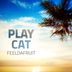 Cover art for "Feeldafruit — Play Cat (Original Mix)"