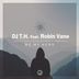 Cover art for "DJ T.H., Robin Vane — Be My Hero feat. Robin Vane (Gambrita Beatless Mix) (Woody van Eyden)"