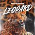 Cover art for LEOPARD