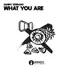 Cover art for What You Are