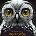 Cover art for "Yahel — Owl Coaster"