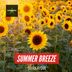 Cover art for "Sivan Aydin — Summer Breeze (Original Mix)"