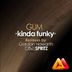 Cover art for "Gum — Kinda Funky (Gordon Howarth Remix)"