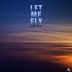 Cover art for "McAlvis — Let Me Fly (Original Mix)"