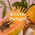 Cover art for "Roberto Pedoto — Exotic Delight (Original Mix)"