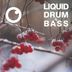 Cover art for Liquid Drum & Bass Sessions 2020 Vol 17