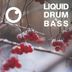 Cover art for "Dreazz — Liquid Drum & Bass Sessions 2020 Vol 17 (The Mix)"