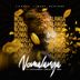 Cover art for Nomalanga feat. EcoFlamingo & Lungile Fana & Msoh SA