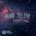 Cover art for "Amir Telem — Everything"