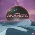 Cover art for Anamata