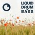 Cover art for Liquid Drum & Bass Sessions 2021 Vol 43