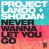 Cover art for "Shodan, Project Lando — Never Wanna Give You Up"