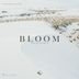 Cover art for "Piece Wise, Abroad — Bloom"