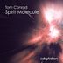 Cover art for "Tom Conrad — Spirit Molecule (Original Mix)"