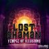 Cover art for "Lost Shaman — Temple of Illusions (Original Mix)"