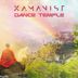 Cover art for "Xamanist — Dance Temple (Original Mix)"