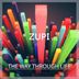 Cover art for "Zupi — The Way Through Life"