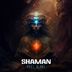 Cover art for "Shaman — Feel Alive"