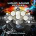 Cover art for "Pulsar, Alderbaran, Liquid Sound — 360? Vision (Acid Mix)"