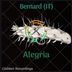 Cover art for "Bernard (IT) — Alegria (Original Mix)"