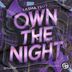 Cover art for "Sasha Troy — Own The Night (Extended Mix)"