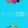 Soulful Techno Records