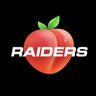 RAIDERS